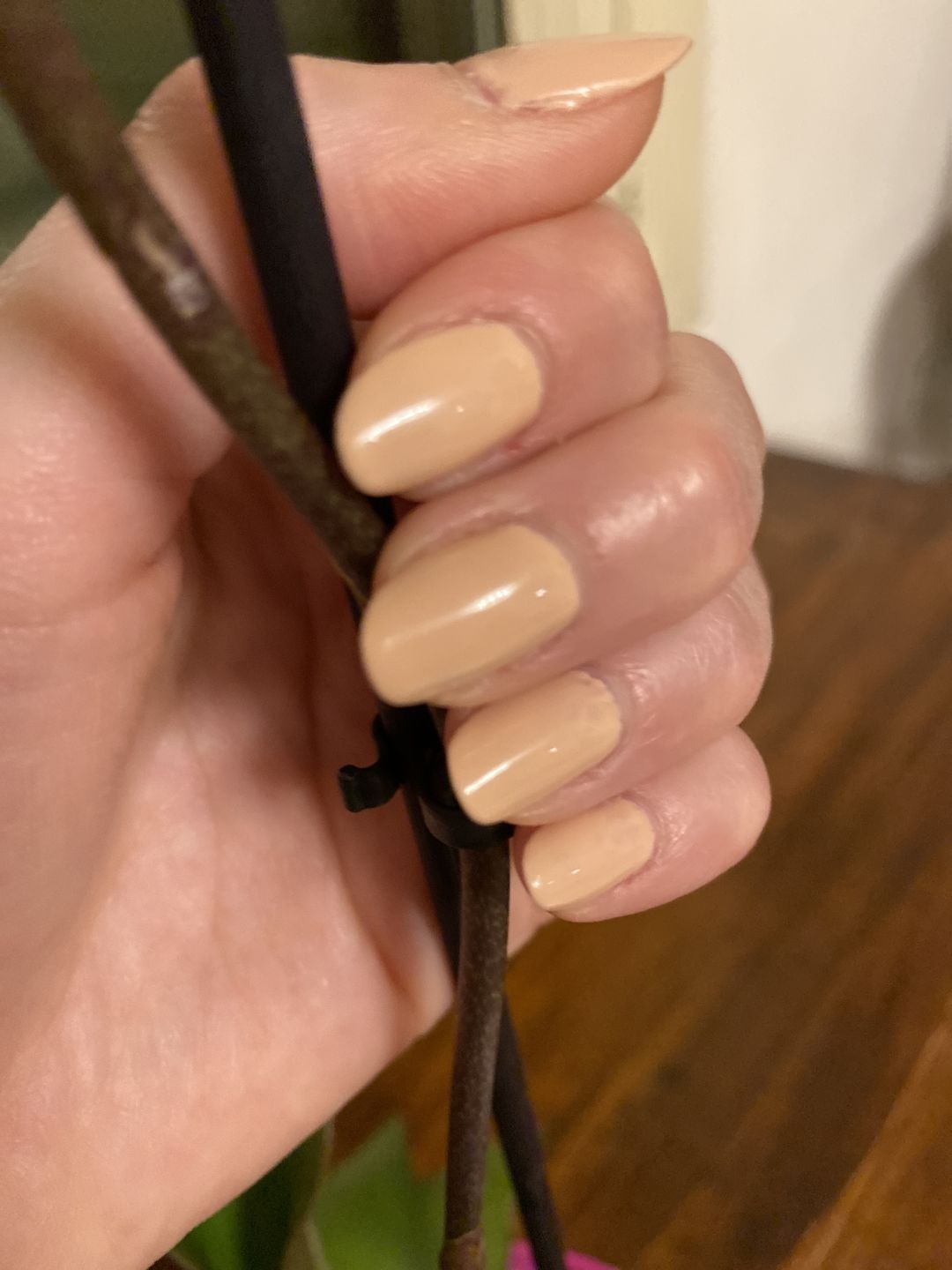 Customer photo review of Kit Semipermanente LCI - Extreme Nude