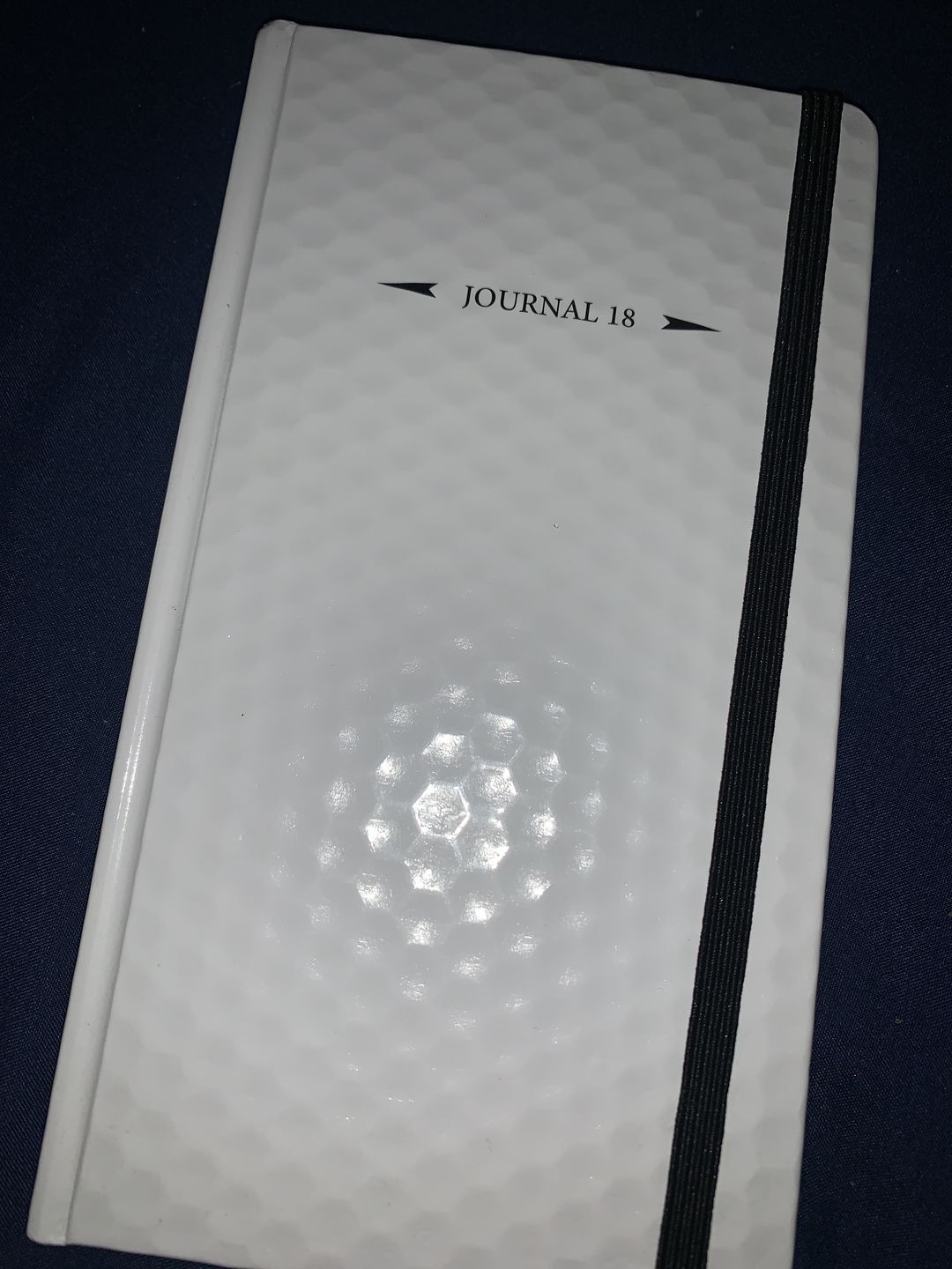 Customer photo review of The Performance Journal