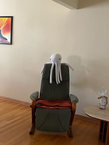 Customer photo review of The Octopus