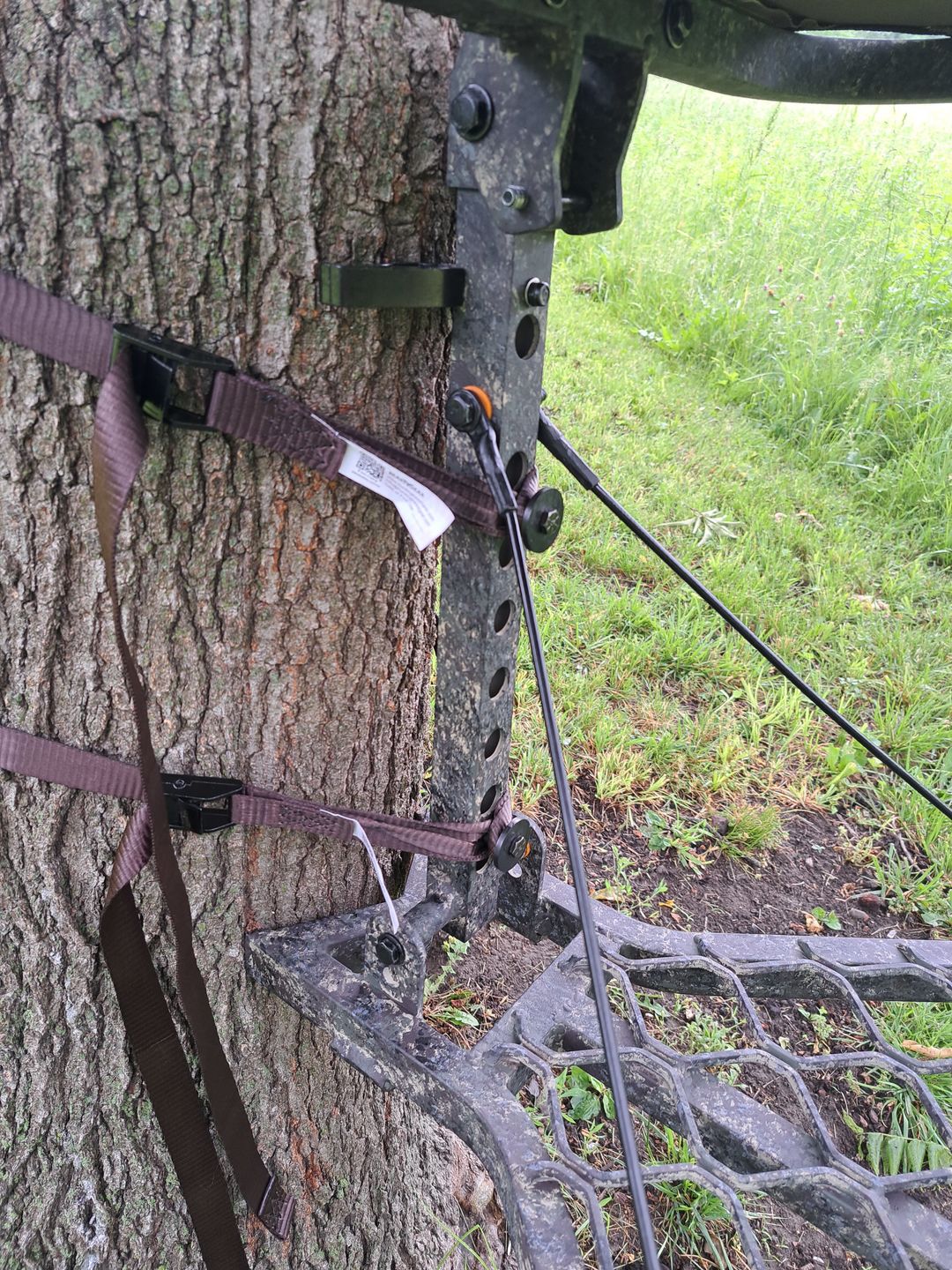 Customer photo review of BEAST GEAR STRAPS (EARTH)