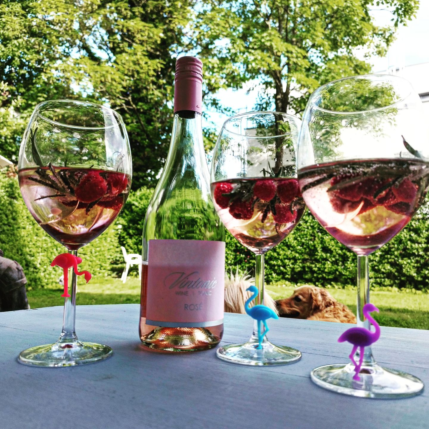 Customer photo review of VinTonic Rosé  0,75 L