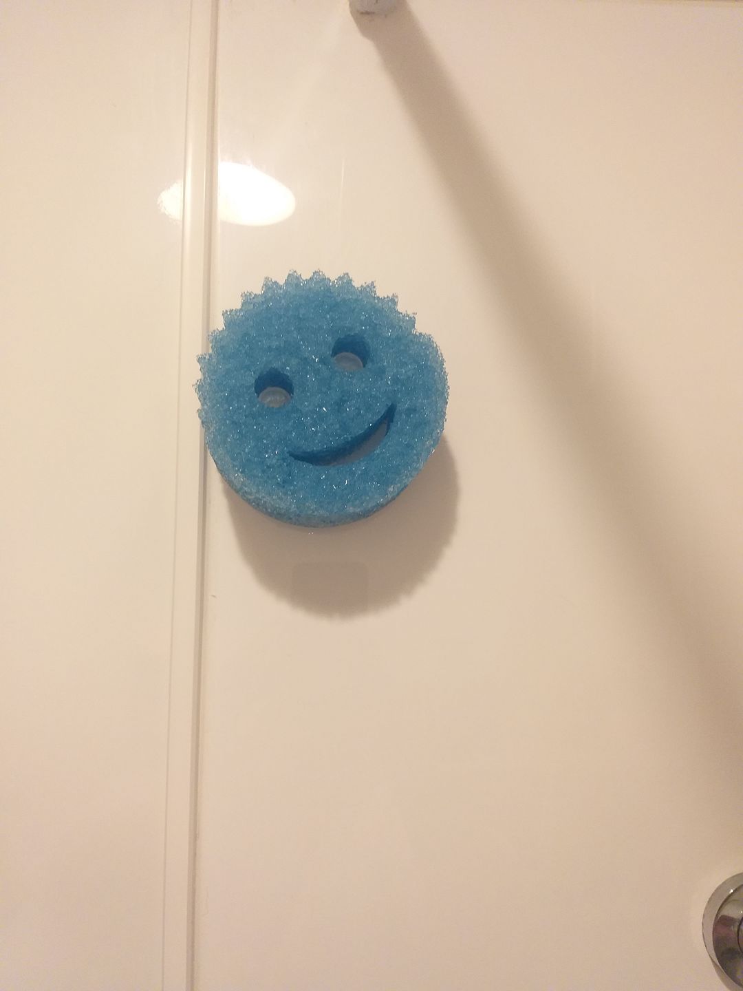 Customer photo review of Scrub Daddy Caddy