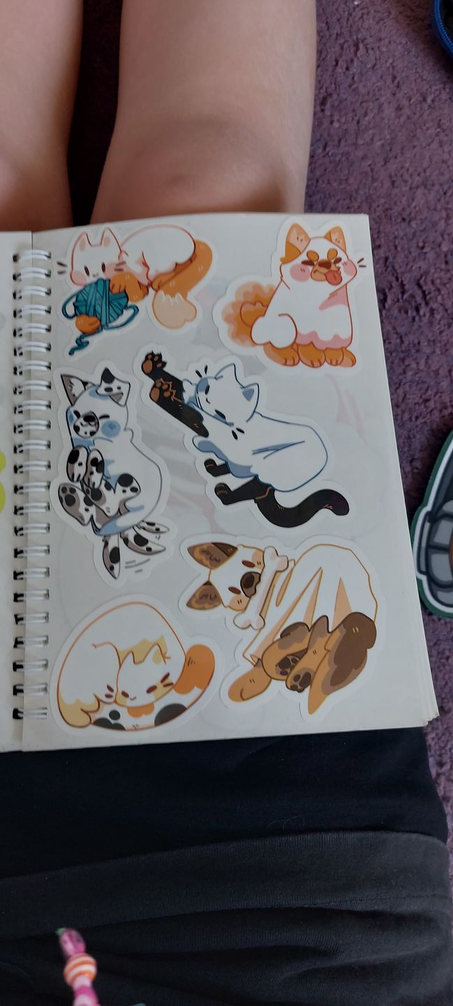 Customer photo review of Cute Ghost Cat Stickers!
