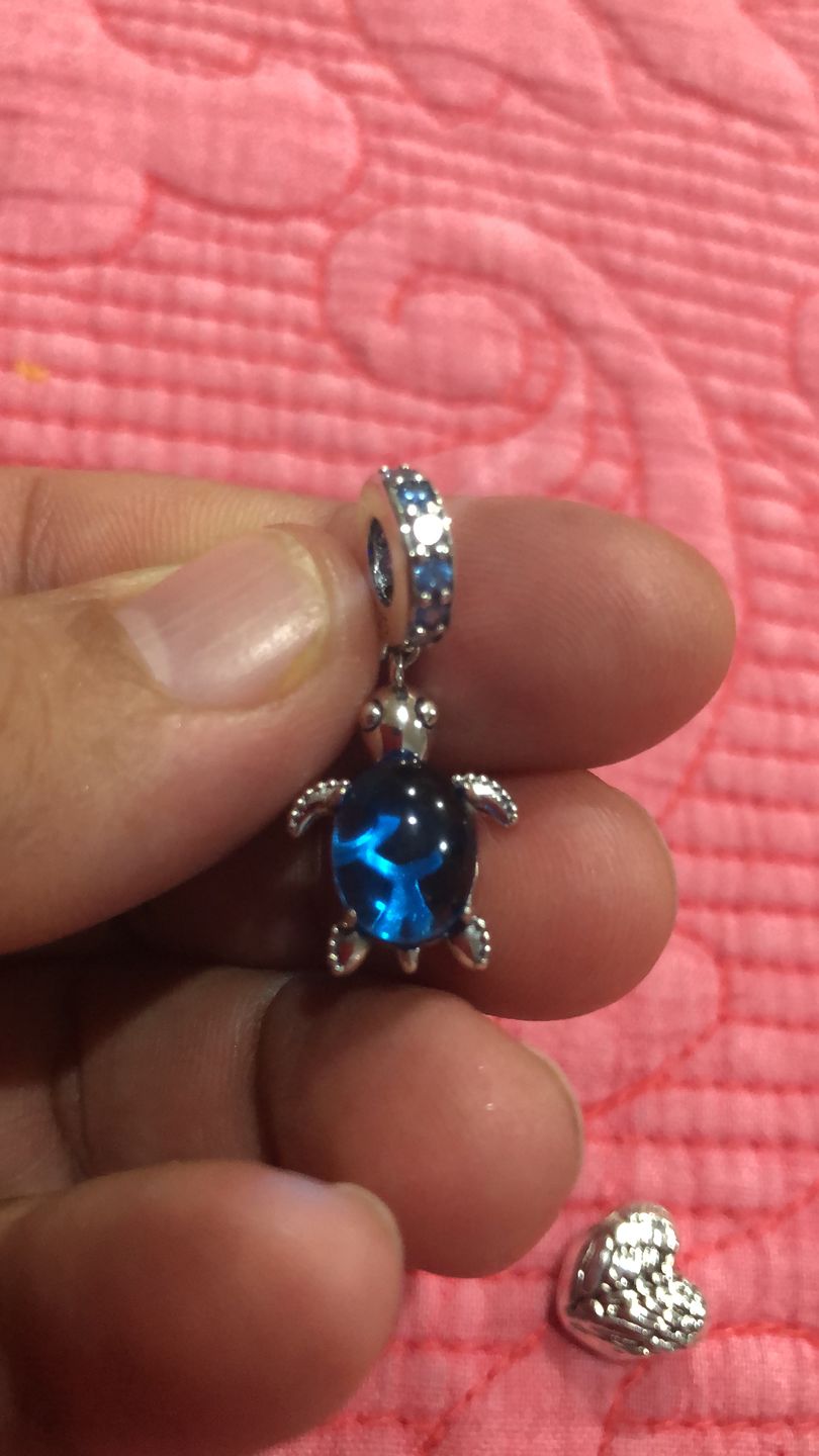 Customer photo review of Charm Tortuga