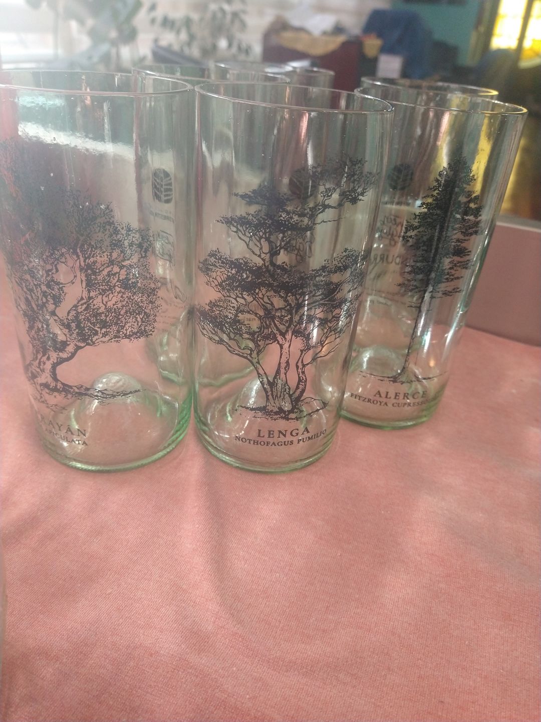 Customer photo review of Juego de 6 Vasos Árboles de Chile
