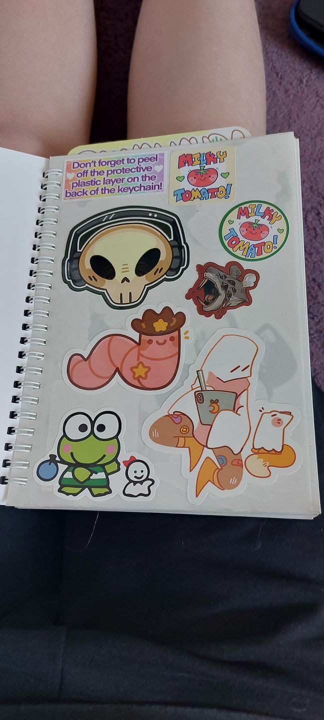 Customer photo review of Sticker Mystery Packs!