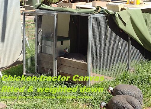 Customer photo review of Canvas Cover for Chicken Coop / Chicken Tractor