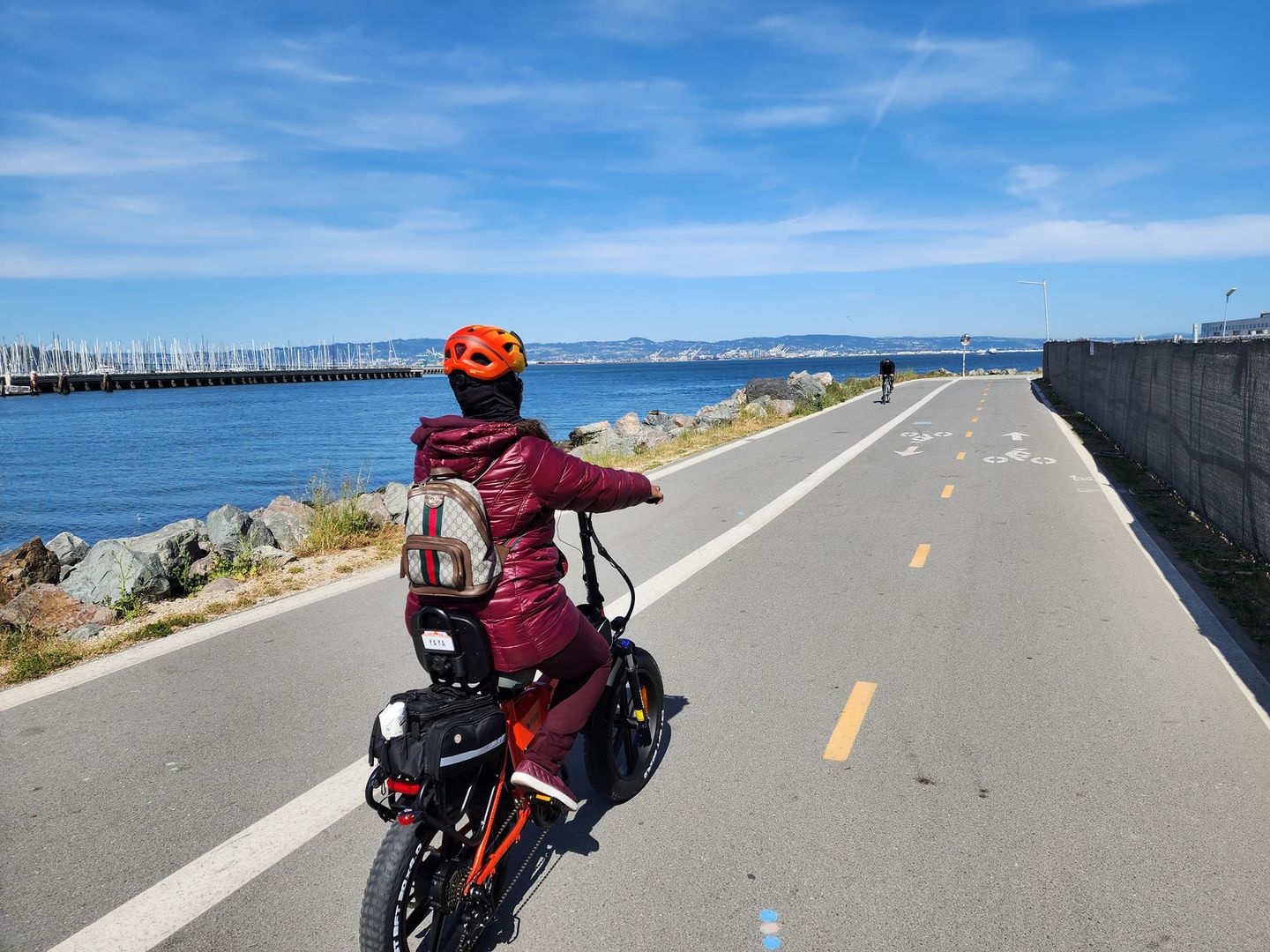 Customer photo review of V3 Folding Fat Tires Adult All Terrain Electric Bike