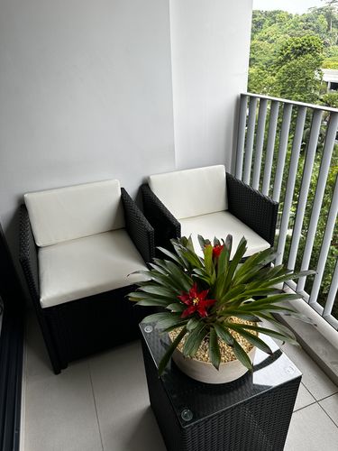 Customer photo review of Cushion Covers + Insert for Splendor Armchair Set