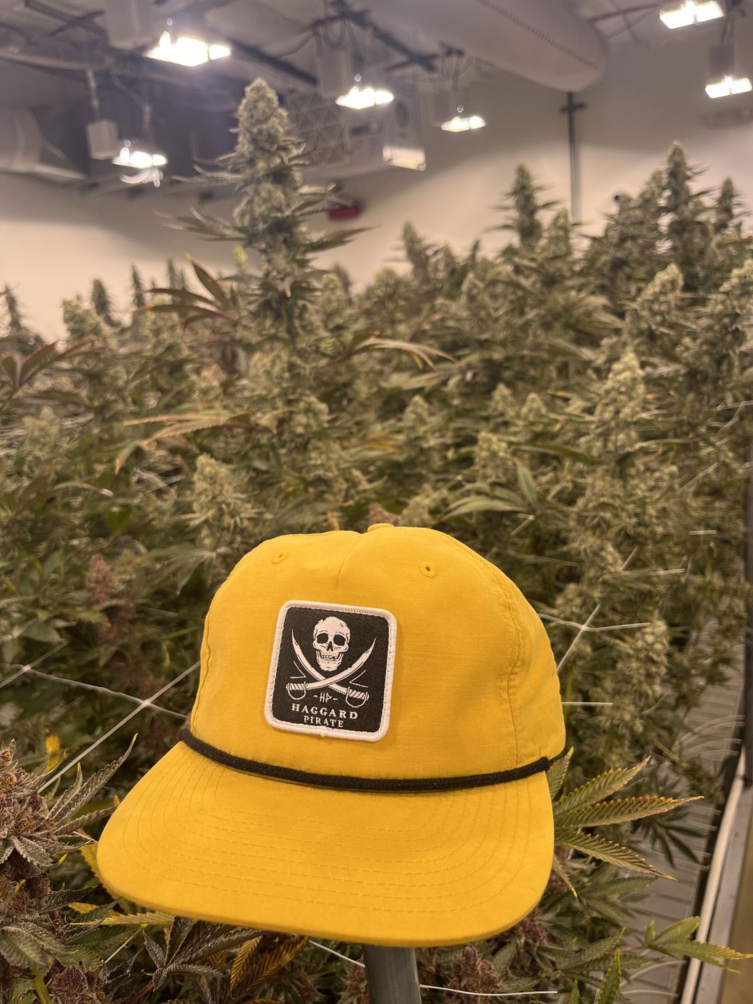 Customer photo review of Flagship Rope Hat