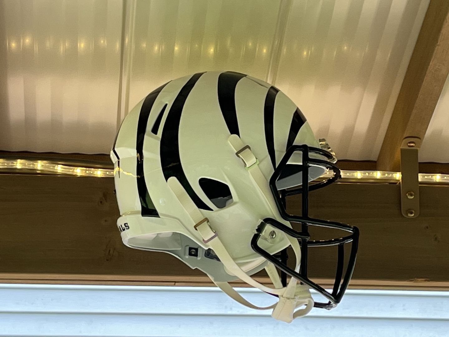 Customer photo review of Cincinnati Bengals White Alternate Replica Football Helmet