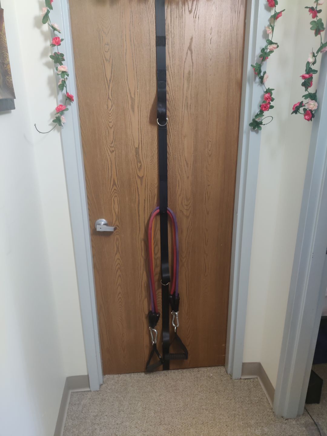 Customer photo review of Ultra Door Anchor