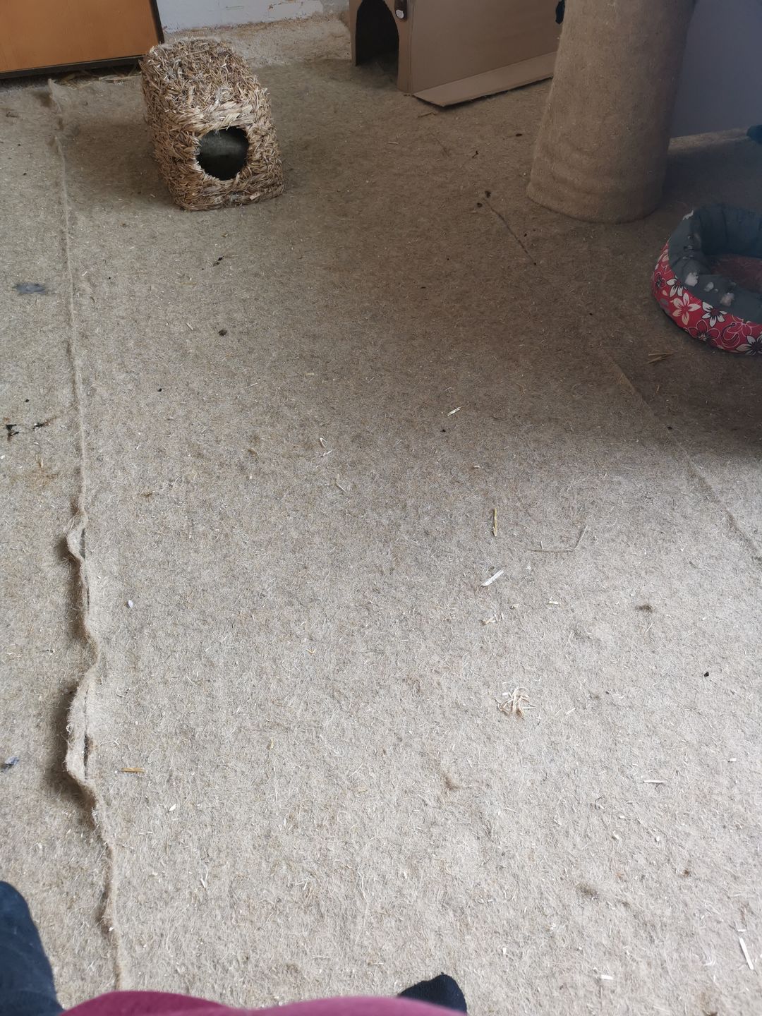 Customer photo review of Nagerteppich aus 100% Hanf auf Rolle mit 10m Länge, 100cm Breite, 5mm dick
