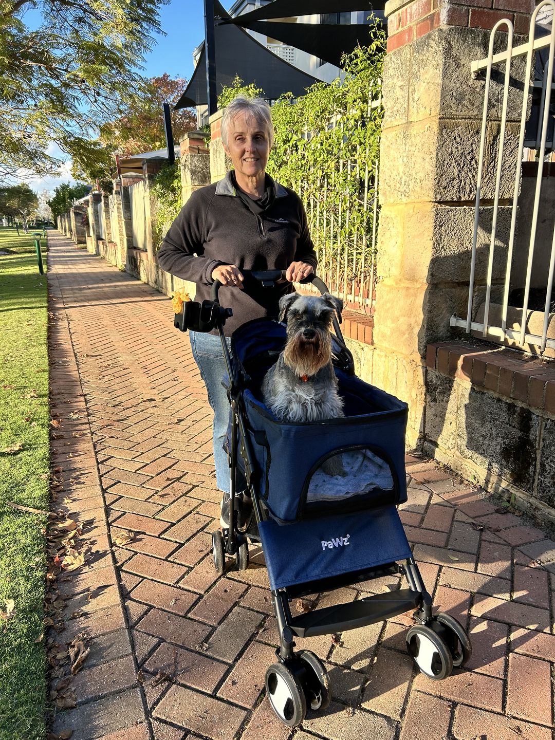 Customer photo review of PaWz Large Pet Stroller Dog Cat Carrier