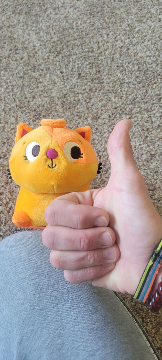 Customer photo review of Shipping Protection by Route
