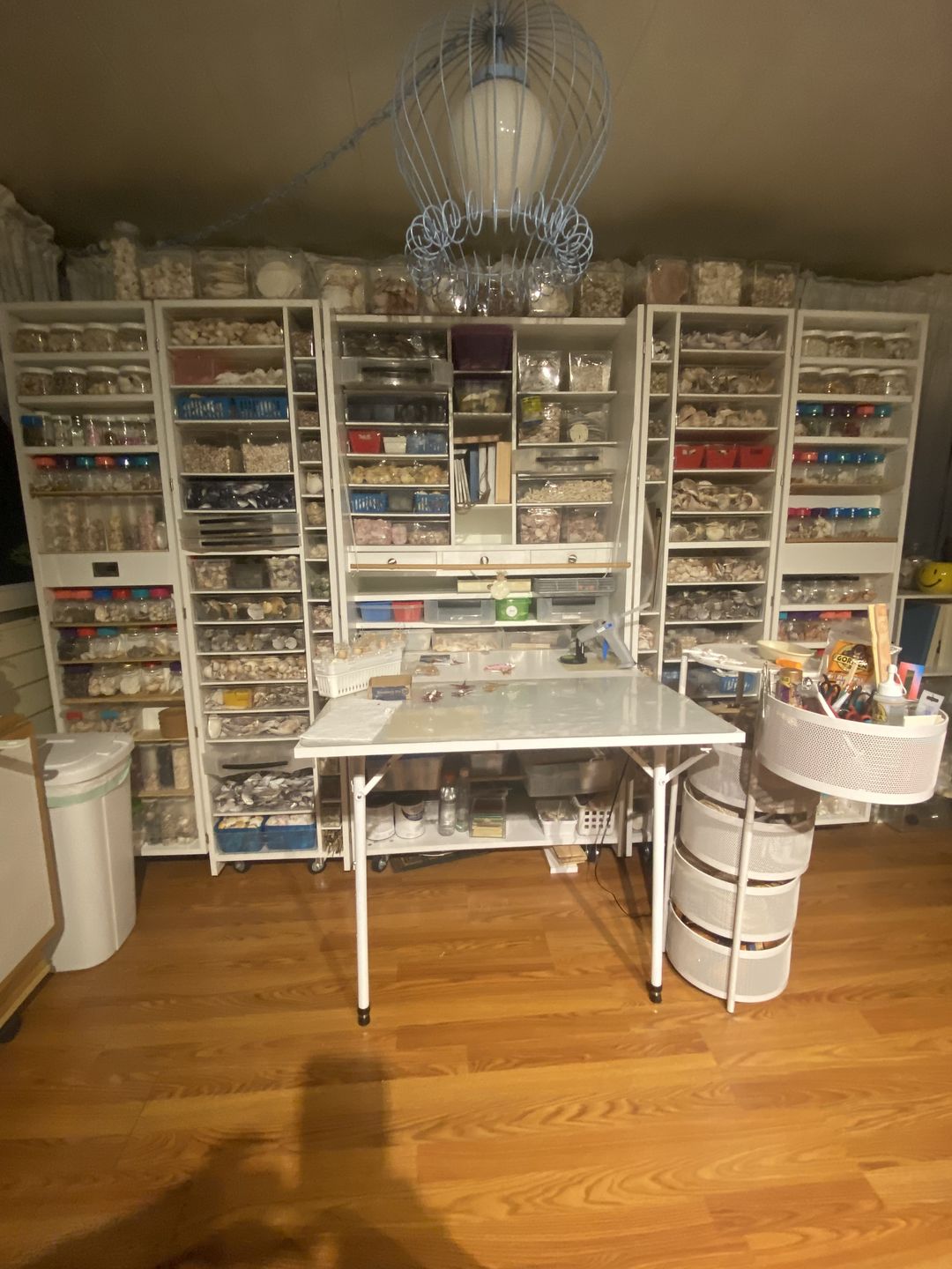 Customer photo review of 8 Shallow InView™ Totes