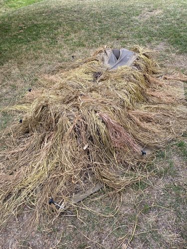 Customer photo review of Hunting Blind Raffia Grass (Pack)