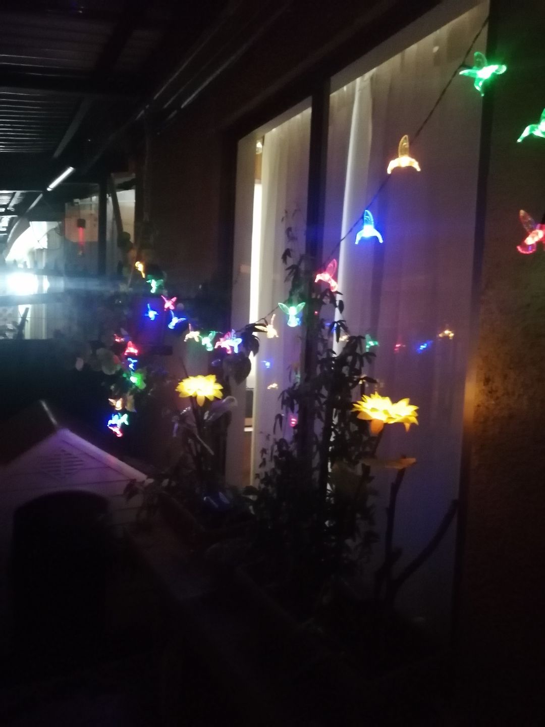 Customer photo review of Colibrís Solares - IP65 Luz Cálida/Colores Largo 5 m