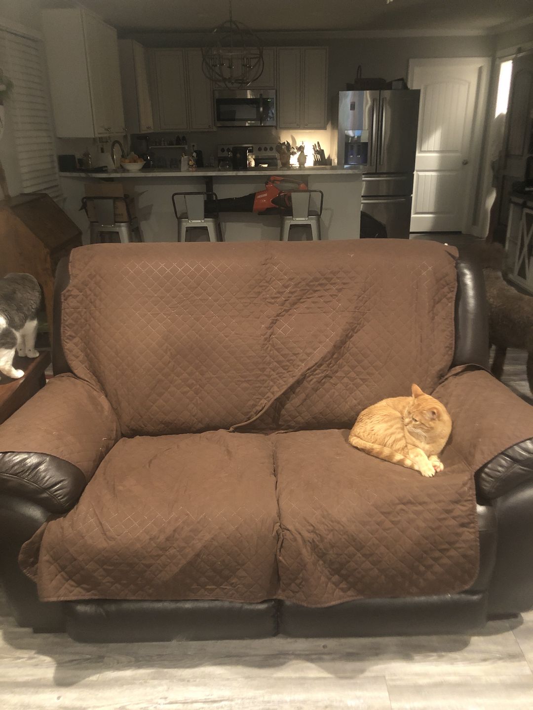 Customer photo review of NEW Machine-Washable, Dryer-Safe Furniture Protector Couch Cover With Side Pockets & Back Straps (+2-In-1 Reversible Colors!)