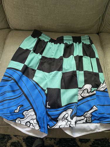 Customer photo review of Reversible Mesh Shorts - Siblings