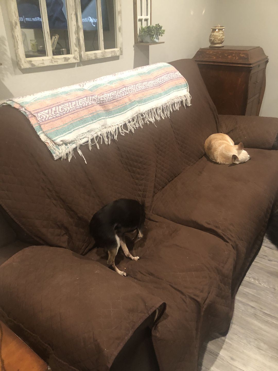 Customer photo review of NEW Machine-Washable, Dryer-Safe Furniture Protector Couch Cover With Side Pockets & Back Straps (+2-In-1 Reversible Colors!)