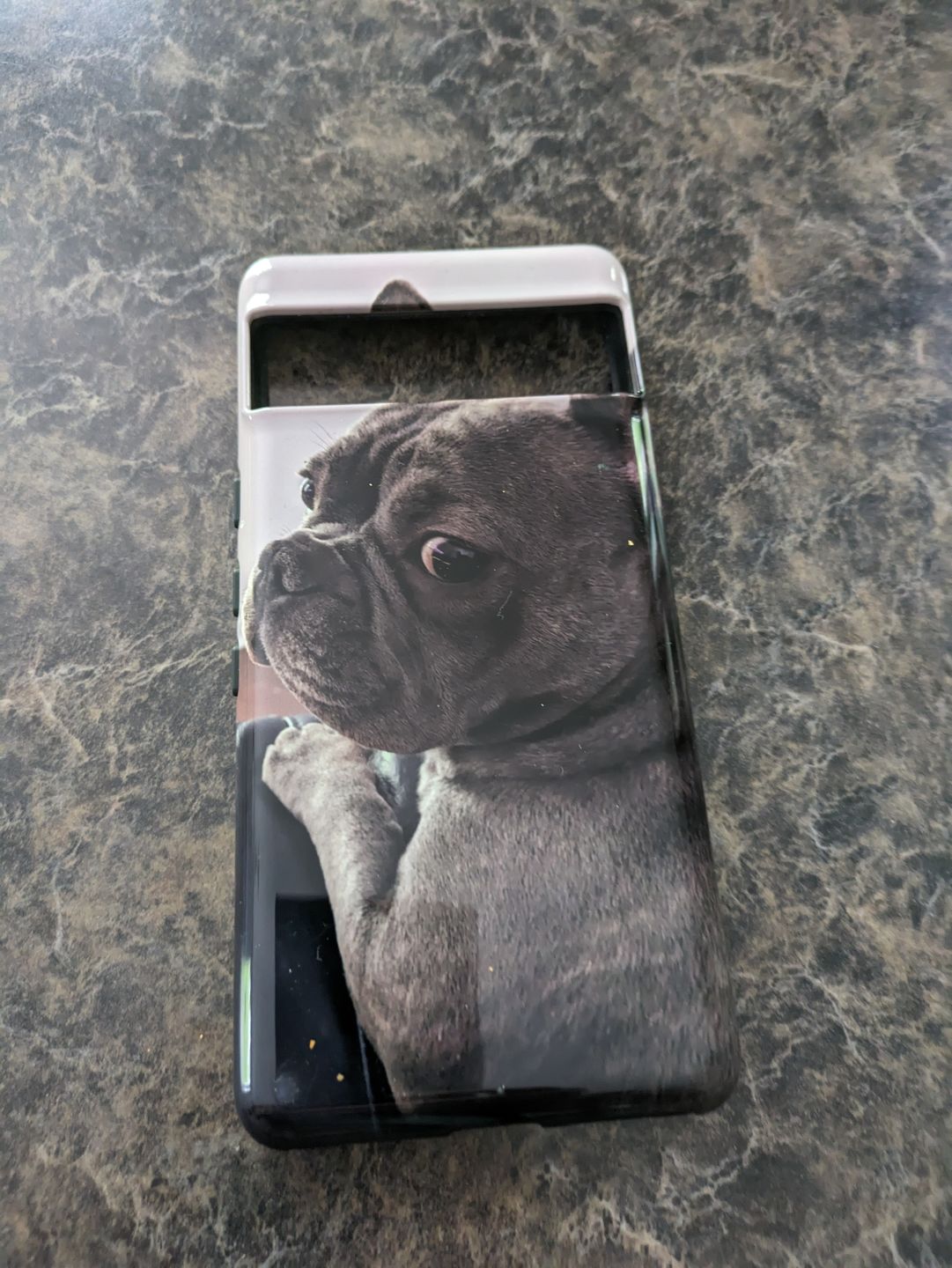 Customer photo review of Custom - Google Pixel 7