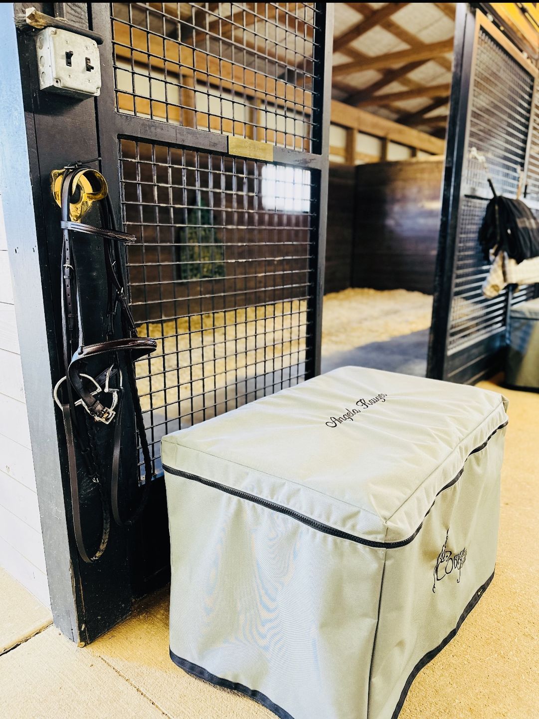 Customer photo review of Custom Tack Trunk Cover- For any Standard Size Trunk