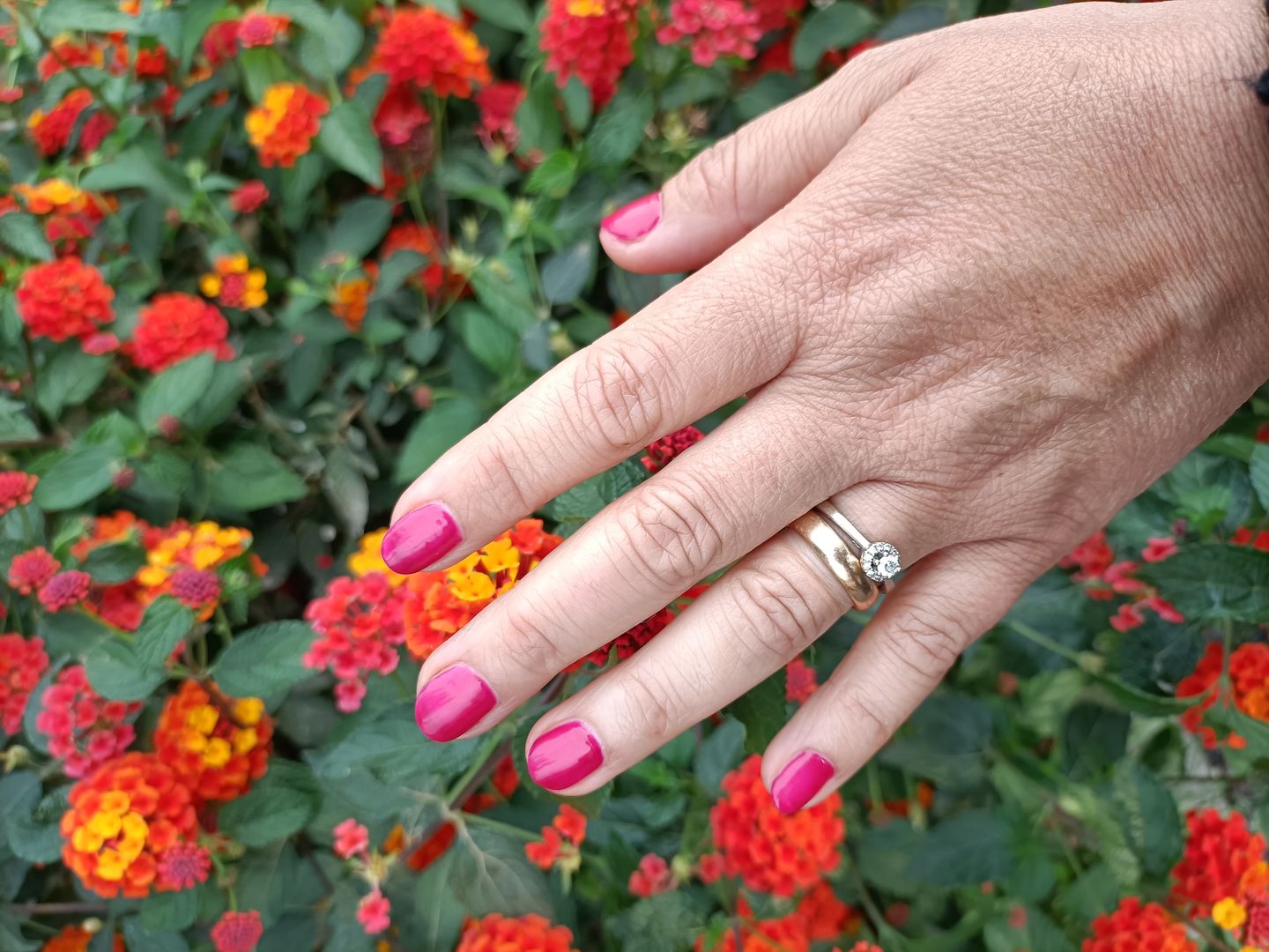 Customer photo review of Smalto Semipermanente LCI -  Ciliegia