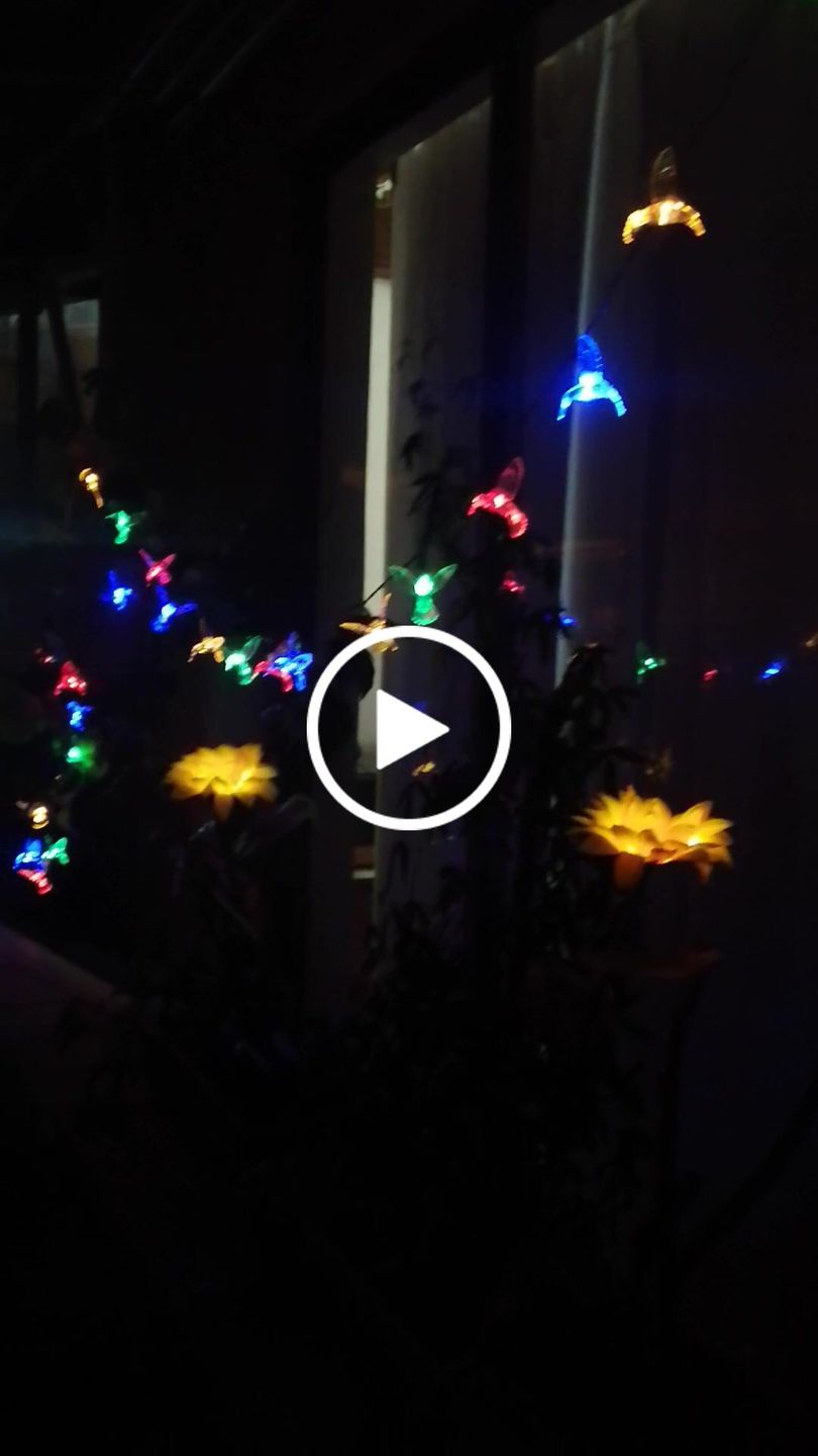 Customer video review of Girasoles Solares - Luz Cálida 2 Un. Altura 67 cm IP44