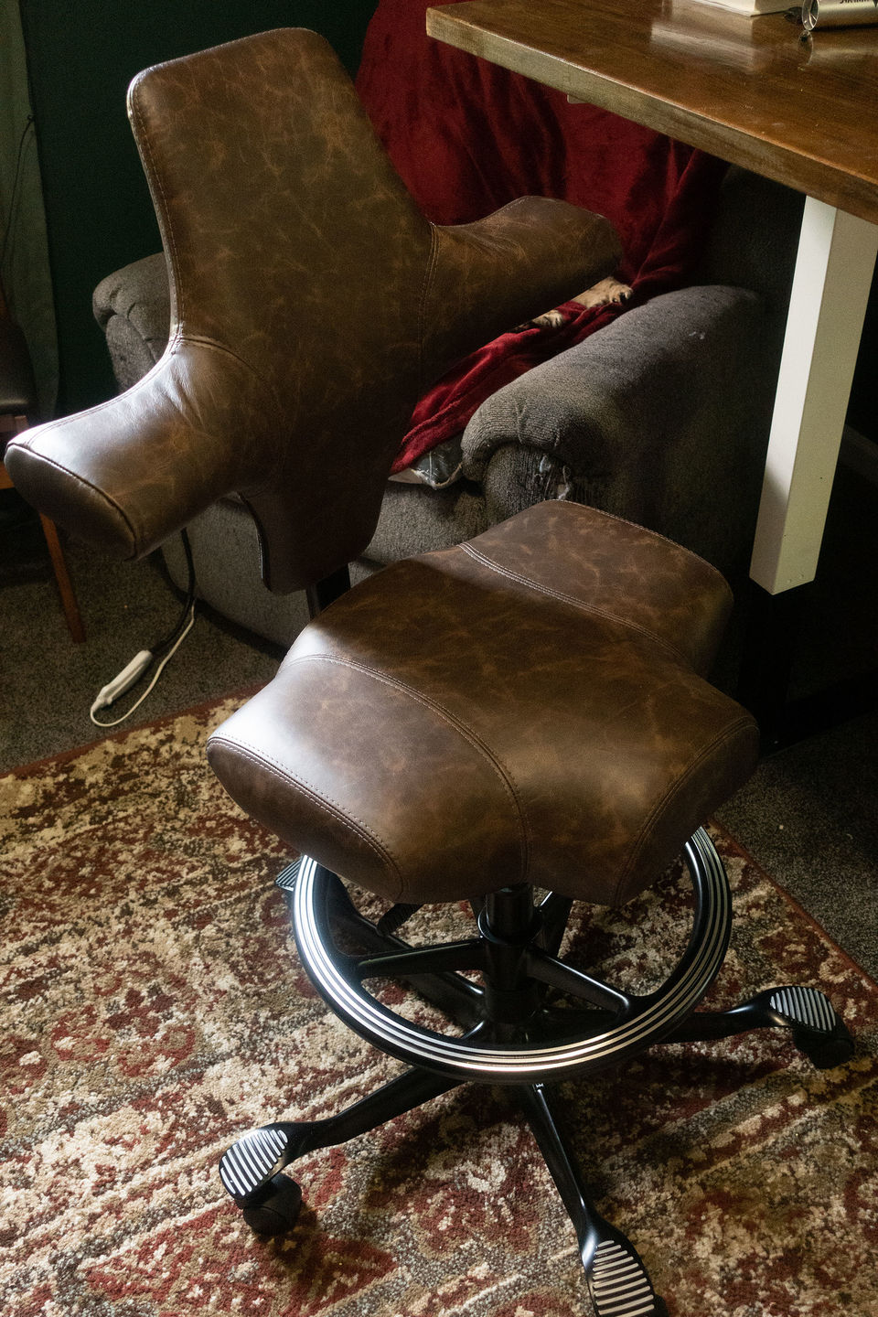 Customer photo review of Capisco Saddle