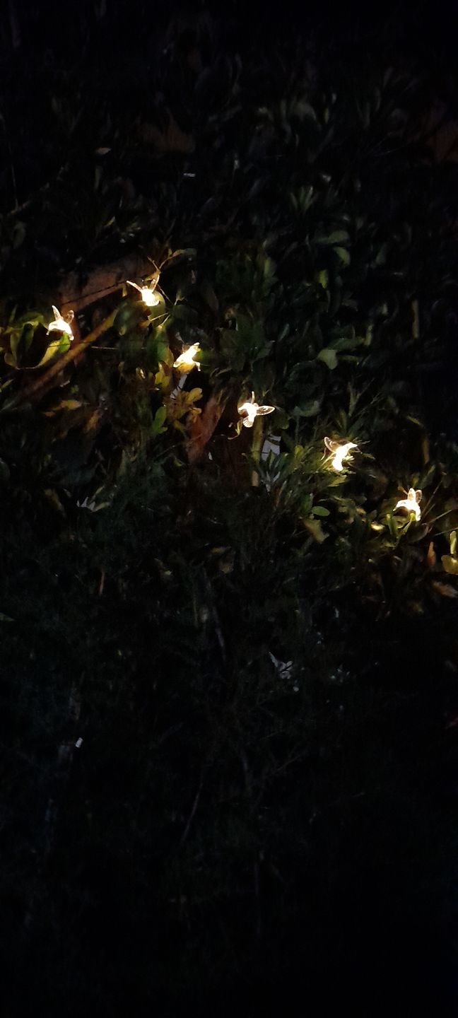 Customer photo review of Colibrís Solares - IP65 Luz Cálida/Colores Largo 5 m