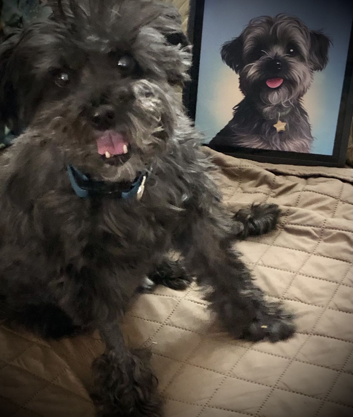 Customer photo review of Custom Pet Portrait
