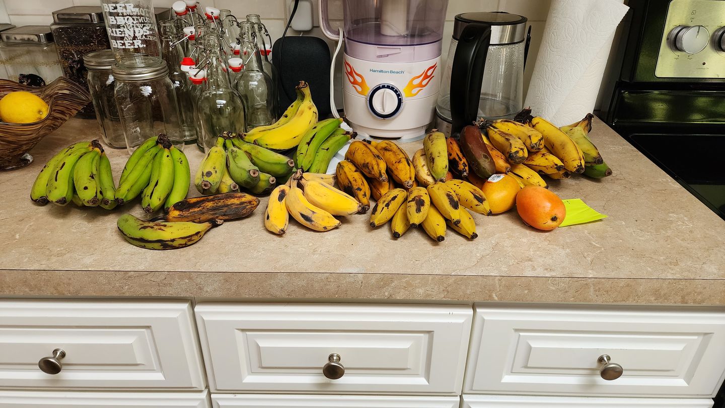 Customer photo review of Banana Variety Box