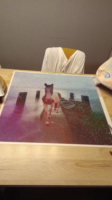 Customer photo review of DIAMOND PAINTING | DEIN WUNSCHMOTIV