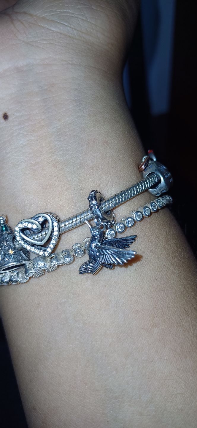Customer photo review of Charm Colibri Mistico