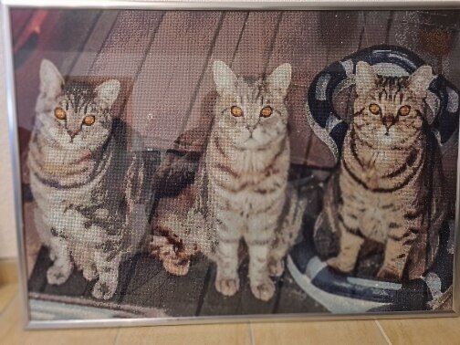 Customer photo review of DIAMOND PAINTING | DEIN WUNSCHMOTIV