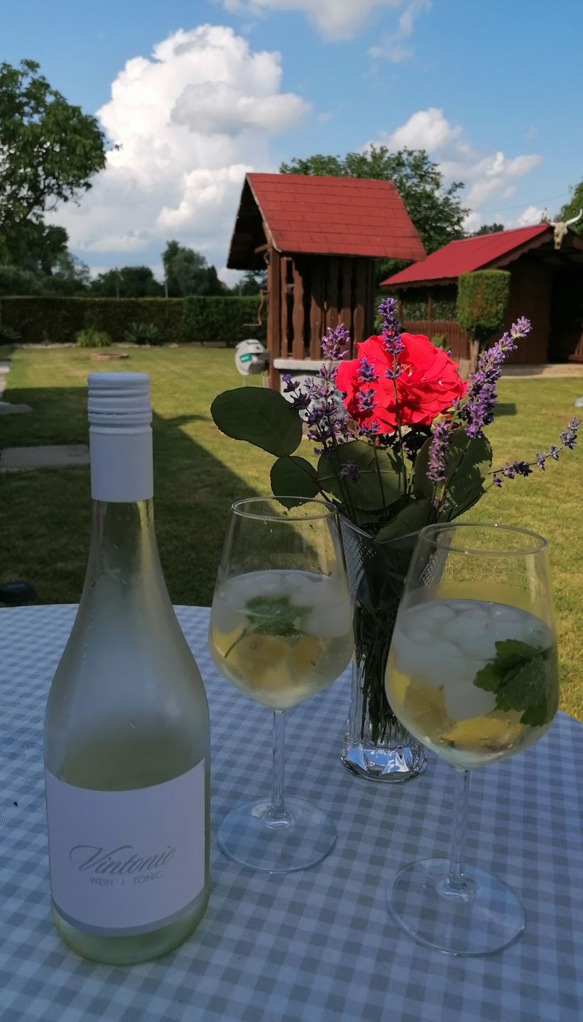 Customer photo review of VinTonic Classic 0,75 L