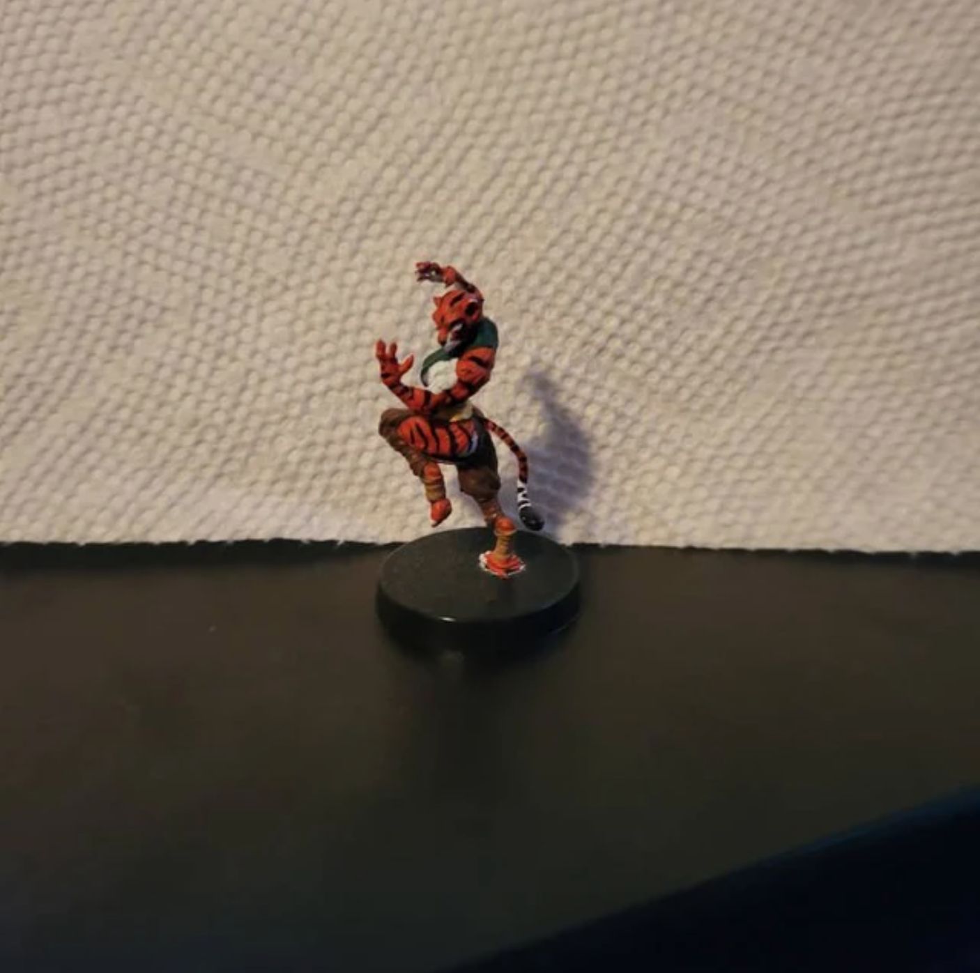 Customer photo review of Tabaxi Monk, Female