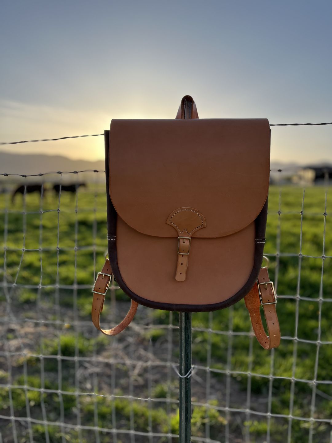 Customer photo review of No.82 | Saddlebag Backpack (Digital Pattern)
