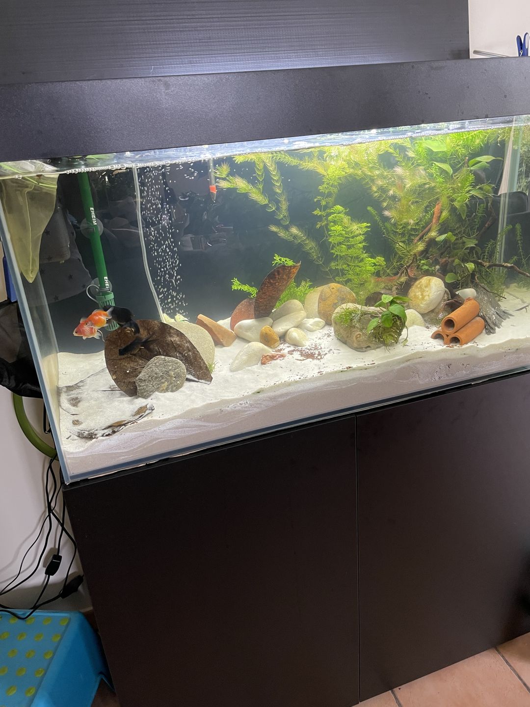 Customer photo review of Aquarium Opti Set 200 Noir AQUAEL - 200L