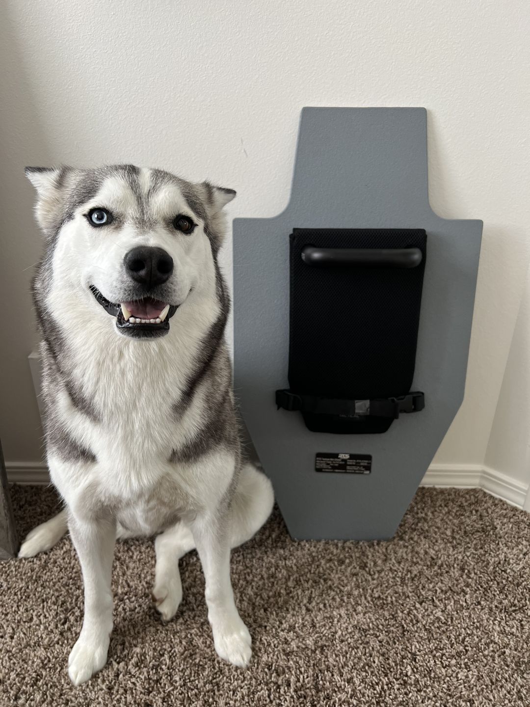 Customer photo review of RTS Tactical Level III+ Rifle Special Threats Mini Shield™