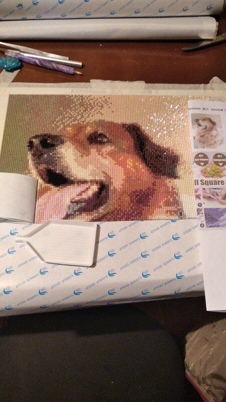 Customer photo review of DIAMOND PAINTING | DEIN WUNSCHMOTIV