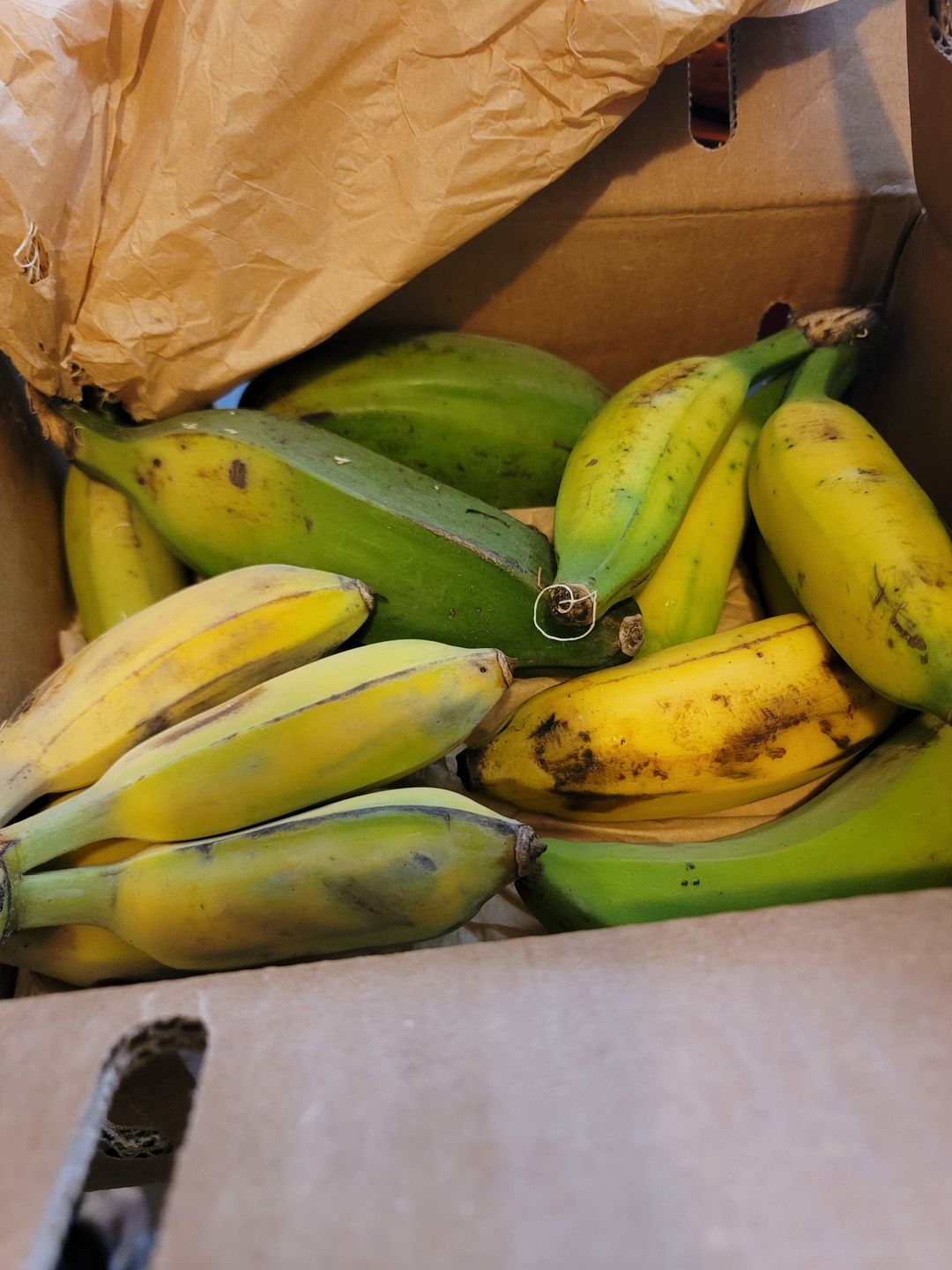 Customer photo review of Banana Variety Box