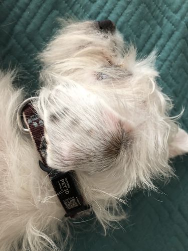 Customer photo review of ByteTag Slide