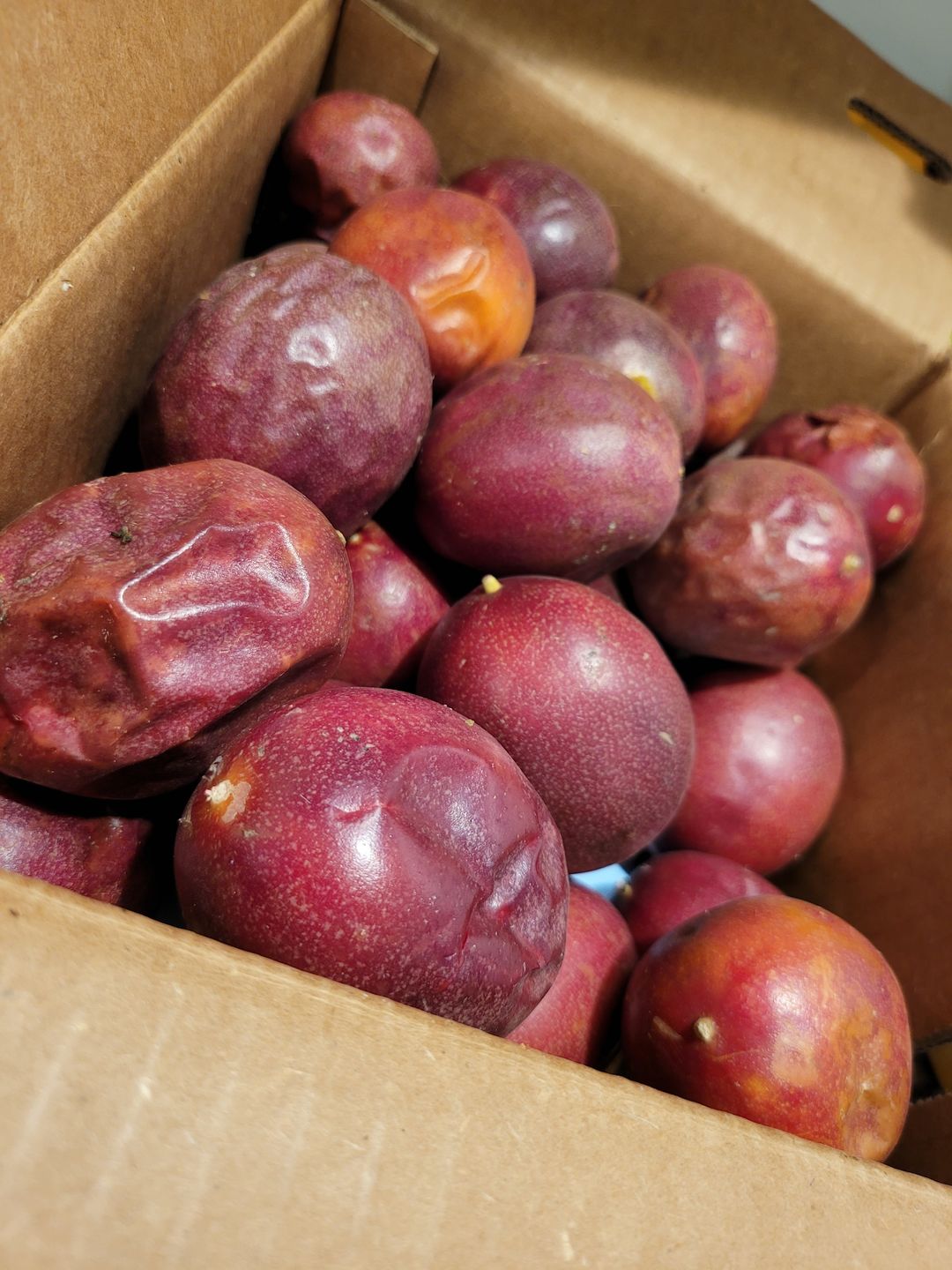 Customer photo review of Purple/Pink Passionfruit (Lilikoi) Box