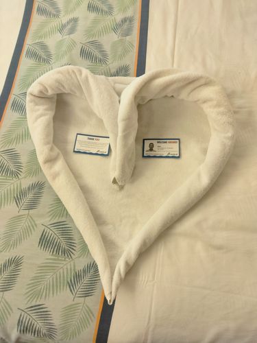 Customer photo review of Can I Come Over?!  Bundle