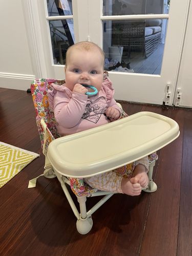Customer photo review of Paloma baby chair v2