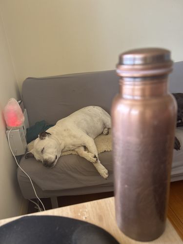 Customer photo review of Pure Copper Brown Art Bottle