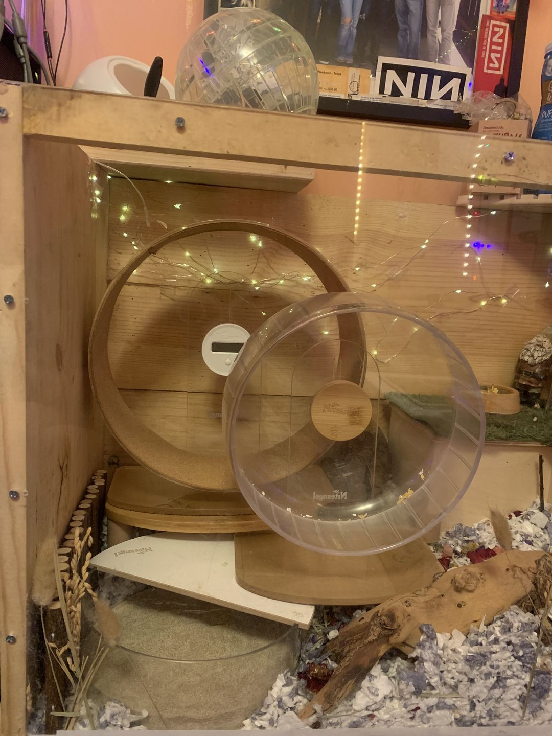 Customer photo review of Niteangel Silent Hamster Exercise Wheel: Dual-Bearing Quiet Spinning Acrylic Hamster Running Wheel for Dwarf Hamster Gerbils Mice Degus Or Other Small Animals