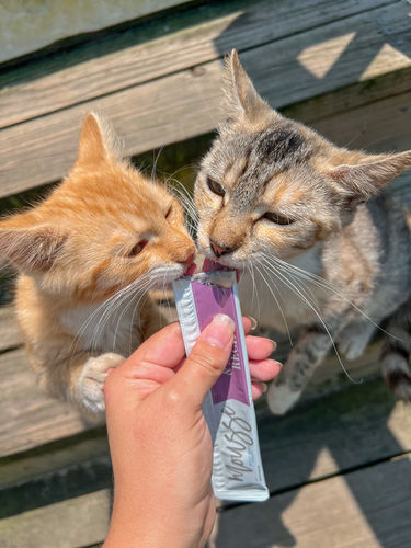 Customer photo review of Tuna & Salmon Cat Treats, Pack of 4